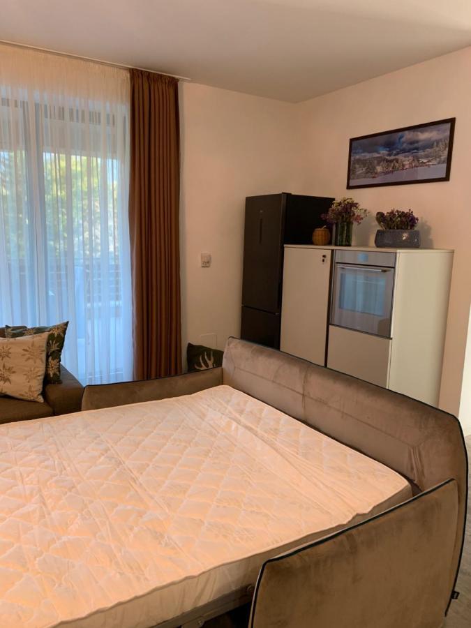 Edelweiss Apartments Silver Resort Poiana Brașov Zewnętrze zdjęcie